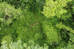 dji-0809_d4d11319-04ec-439c-839f-a9ac66d30196