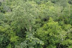 dji-0810_c6f8bf6e-f1d4-4dea-865b-32d079f4453f