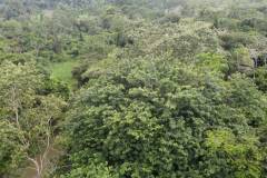 dji-0811_a0b6fe1a-ca10-4c3a-b486-28662b3e2b6a