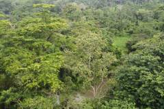dji-0812_5358d8bf-6cae-4d88-af7b-313914f53fa3