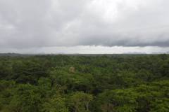 dji-0817_42195655-5b3b-4b2c-9f71-d64129fb82a4