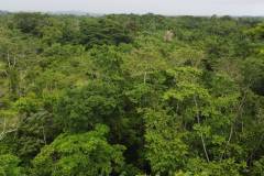 dji-0827_d15b38f2-2e47-4ef1-8492-35e90bfe2d48