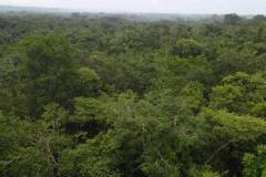 dji-0833_30976fa0-99e9-4384-b72a-469734153304