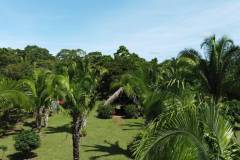 thumb17652c108930c90