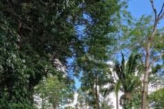 thumb5465146cf4d73a0