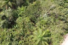 dji-0072_352c191d-cc2d-42db-b3a0-bd30050b20ca