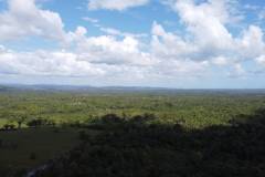 dji-0431_89d77704-1469-413d-80d7-0508c671f330