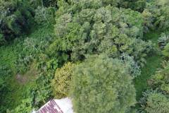 dji-0449_58fe8eeb-764a-4167-9535-f79669dc66c4