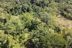 dji-0461_e55a989d-d9d4-4543-a889-be3a90c36ff7