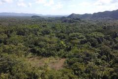 dji-0465_b66ce31a-c68d-493d-b6a9-1b495fe9e5ed