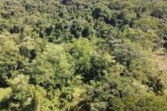 dji-0483_a917746d-5bec-4d60-8b1a-b4894014d187