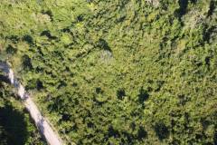 dji-0356_47c21746-637c-49d4-a986-5deab1279dc3