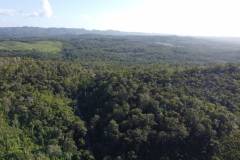 dji-0371_08d93b55-a378-49bf-a036-6378680c96b1
