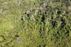 dji-0384_2d8e21e5-537c-4260-9197-033d63fa0030