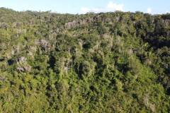 dji-0389_3f5268d8-d590-4c99-b1b1-cf732df3717e