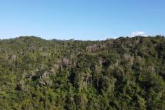 dji-0410_b4d3a057-1e4b-4af7-983c-01102989d0dd