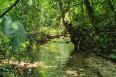 88c9f8ce-2c87-49f1-b4de-41e5dda68467