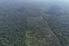 674d08ec246af