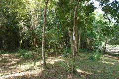 dsc03469_355f35e3-4178-4b7c-8022-c7b03f0764a7