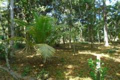 dsc03479_693dfe26-32f7-4aaf-a01f-7f602f08cbad