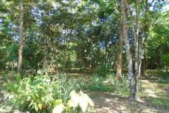 dsc03491_f71a861f-baf1-4769-b1c8-99726d0cc259