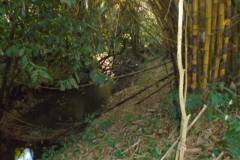 ear-confluence-of-jacinto-creek-condemed-branch-dsc00803_5f6b54b4-483c-4c42-bf0f-c7e168d08a3f