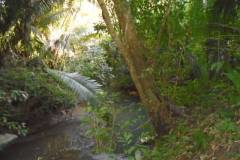 s-30-81-rugged-terrain-kissed-by-jacinto-creek-dsc00810_e32e0bec-7e35-4d27-a490-1885e38996af