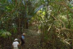 ted-s-30-81-approaching-1-of-5-deep-creek-dsc-774_27e594e2-f07f-44fe-b5d2-83fdd61ba08e
