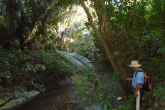 ted-s-30-81-jacinyto-creek-dsc00806_cbfa846b-6ebd-43f7-8648-e800d2624bcd