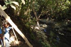 ted-s-30-81-looking-down-at-jacinto-creek-dsc00784_fb64ca63-4528-450c-9687-1c4fc161b9ce