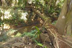 ted-s-30-81-natural-btidge-up-to-property-dsc00760_5ba2b772-401e-426a-bf32-272fa951ef5c