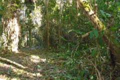 ted-s-30-81-pathway-nortyh-to-south-dsc00779_333b5072-f27e-444f-8ac0-96e5f0e8c712