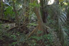 ted-s-30-81-rugged-unyielding-area-dsc00819_7c560492-10f6-47bc-b5bb-340be40b7718